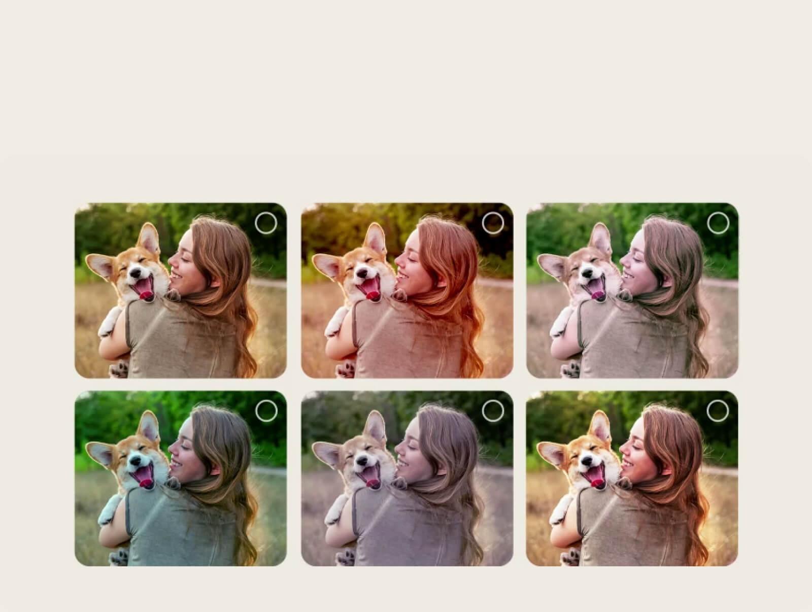 LG OLED evo AI G6 con Asistente de Imagen AI muestra múltiples versiones de la misma foto organizadas en una cuadrícula, lo que permite a los usuarios seleccionar opciones preferidas que guían la creación de imágenes personalizadas en la pantalla.